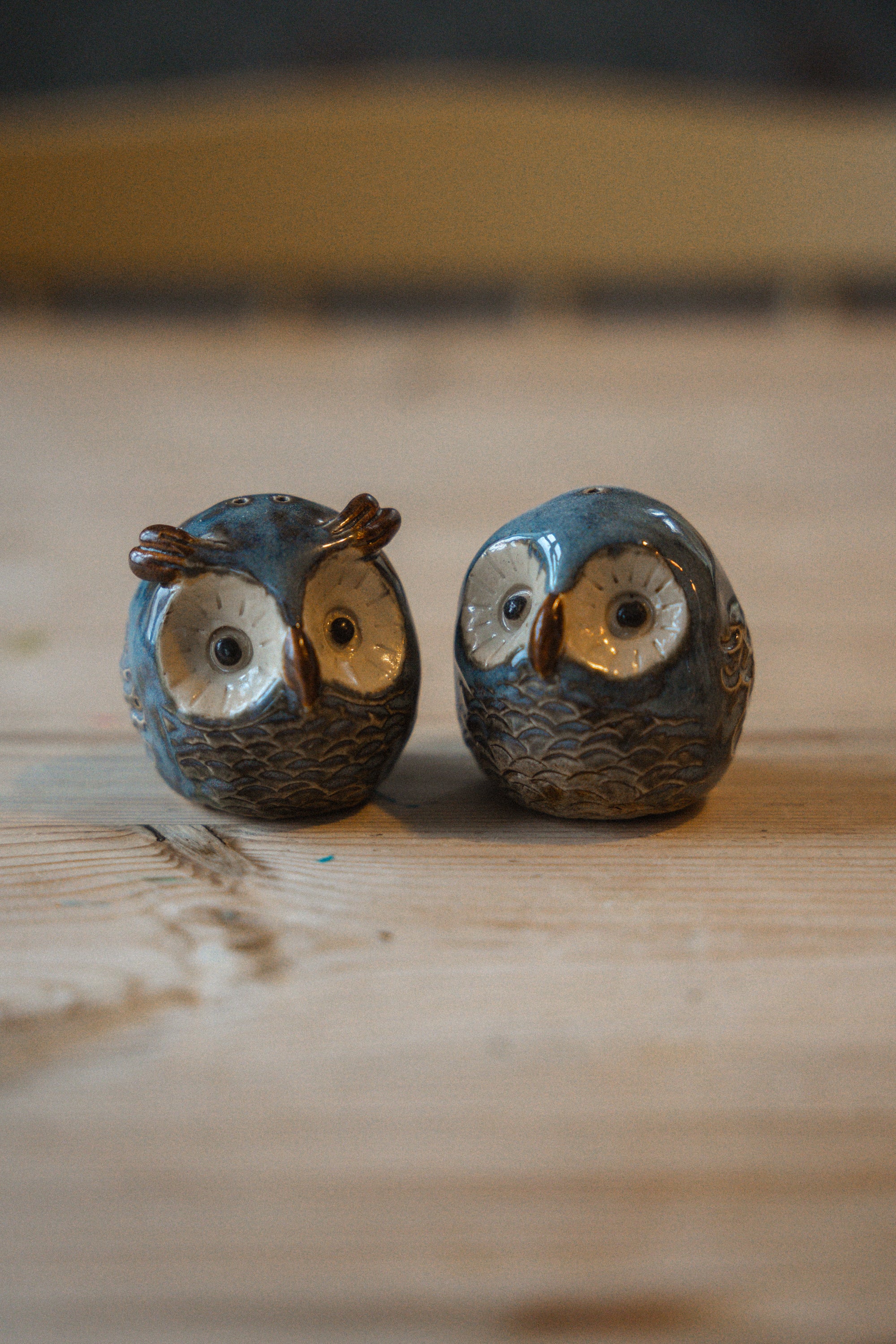 Salt og pepper bøsse