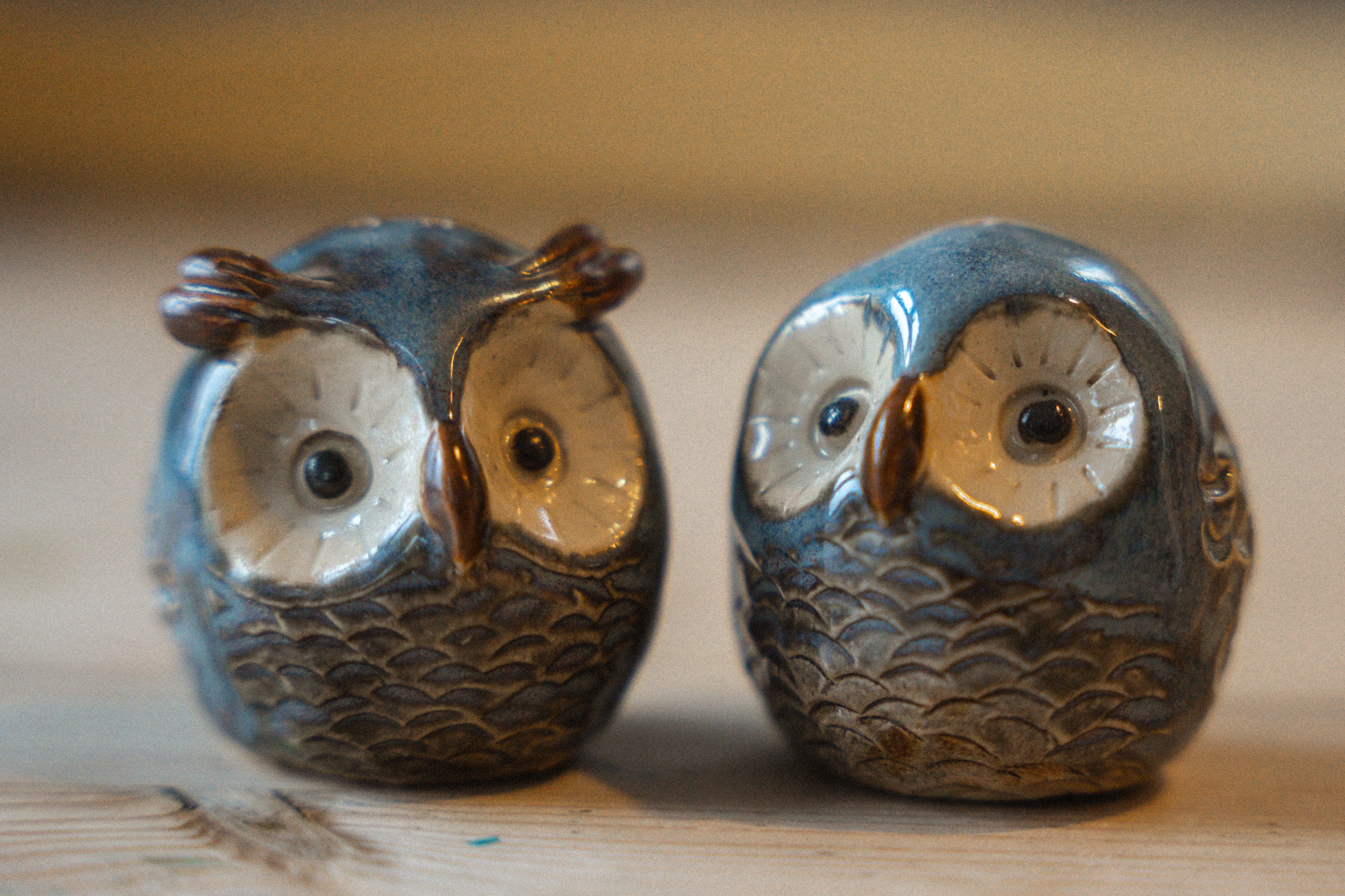 Salt og pepper bøsse